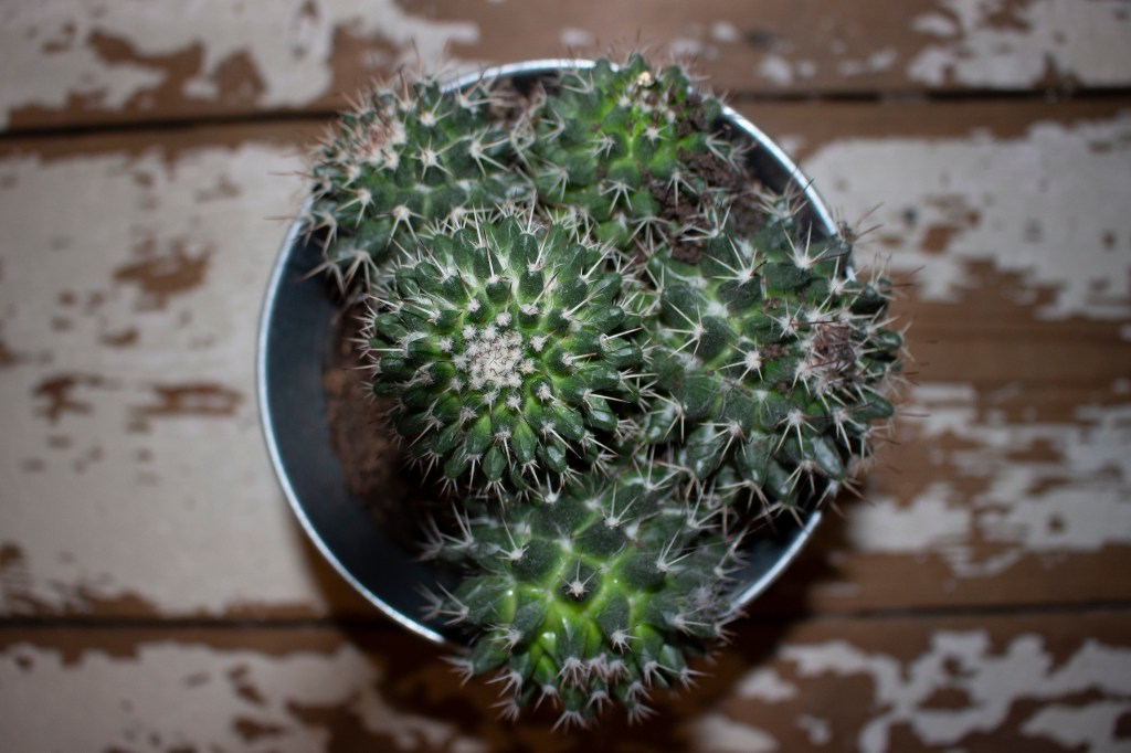 This image has an empty alt attribute; its file name is mg_2479.jpg