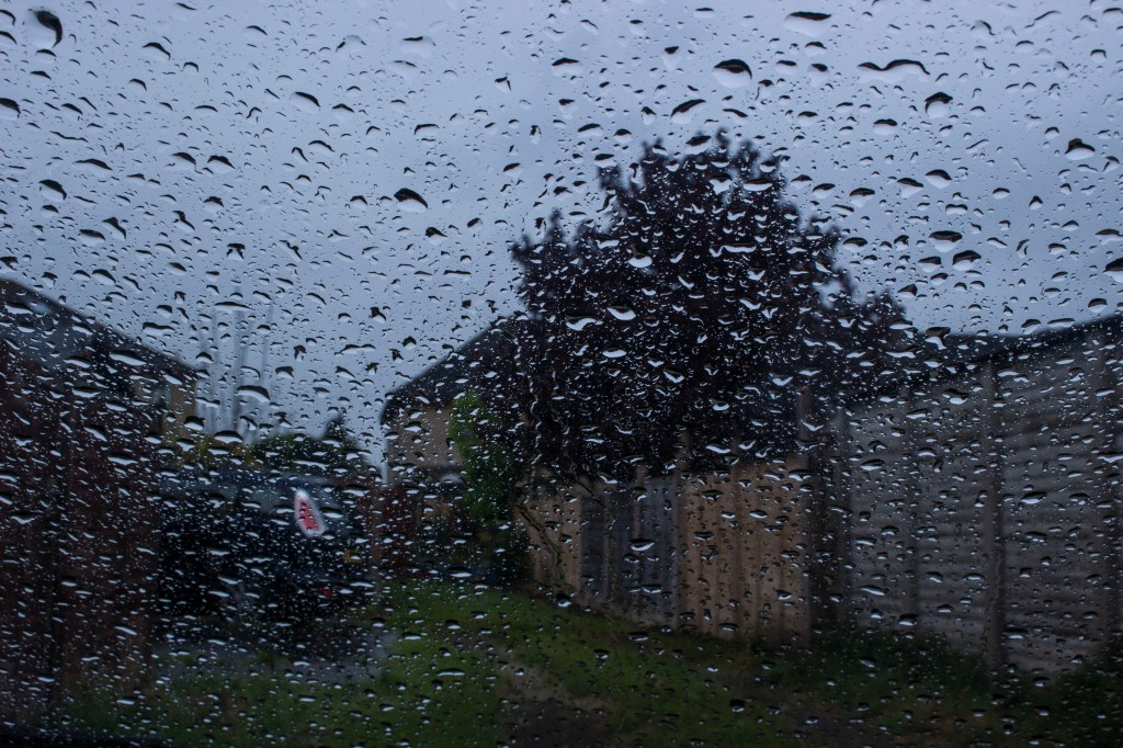 This image has an empty alt attribute; its file name is mg_5127-1.jpg